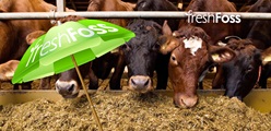 How to reduce spoilage in feed ration - FreshFoss