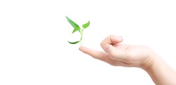 Stalosan F – no harmful effects
