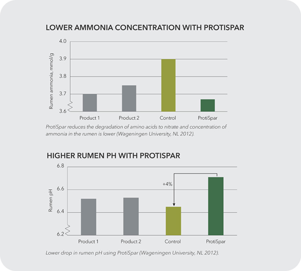 LOWER AMMONIA CONCENTRATION WITH PROTISPAR HIGHER RUMEN PH WITH PROTISPAR