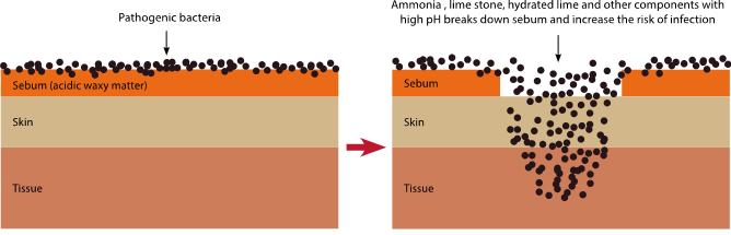 Illustration of the skin defence system and impact by harmful products like hydrated lime, limestone and ammonia
