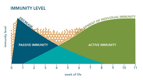 Immunity level graph