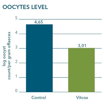 Oocytes level graph