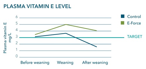 Plasma Vitamin E Level