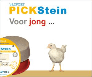 Pluimveeweb-PickStein-NL