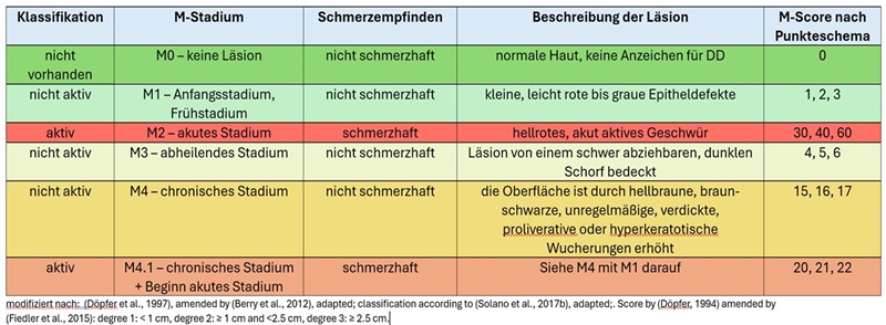 Grafik Tabelle Dokumentationsschema für DD-Läsionen