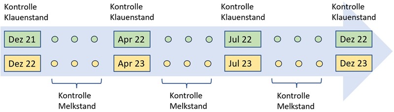 Grafik Zeitlicher Versuchsaufbau