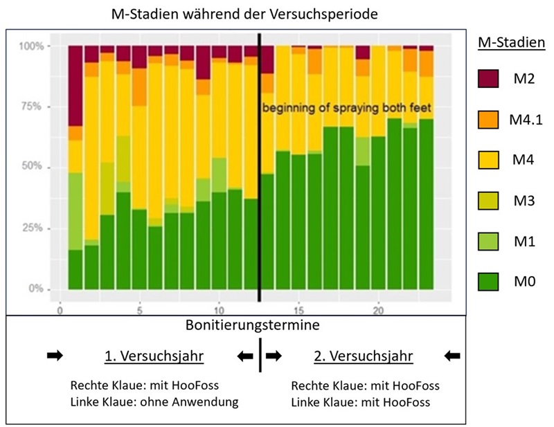 M-Stadien Grafik 2