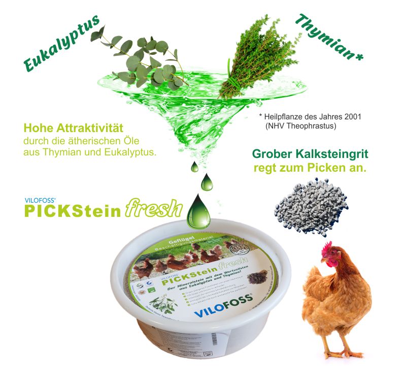 pickstein-fresh_description