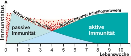 RoCoSal Grafik Immunstatus