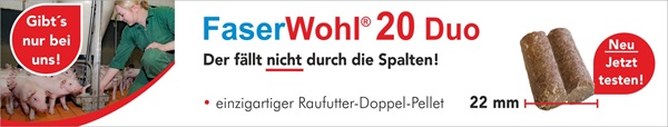 FaserWohl 20