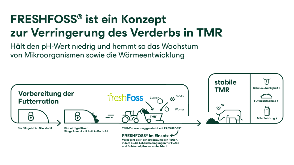 FreshFoss Grafik 2