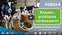 Hoofoss Klauenpflege Webinar Briede VILOFOSS