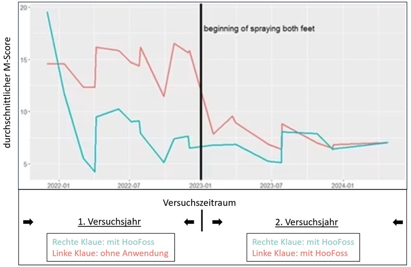 M-Score Grafik neu