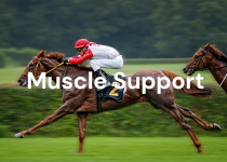Muscle Support Infobild