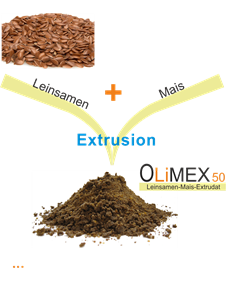 Extrusion durch Leinsamen und Mais