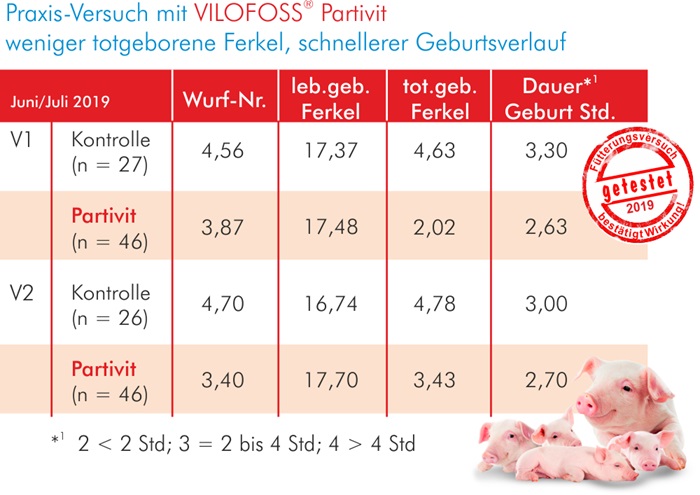 Versuch Partivit 2019 Zuchsauen