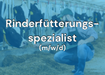 Rinderfütterungsspezialist