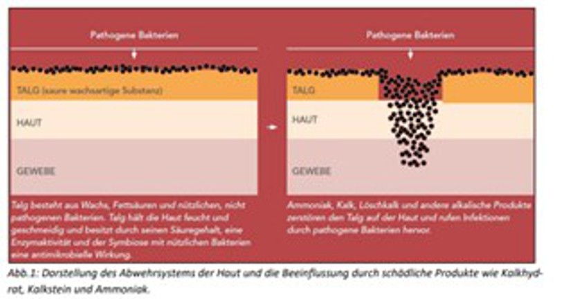 Wirkung Stalosan