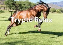 Trypto Relax Infobild