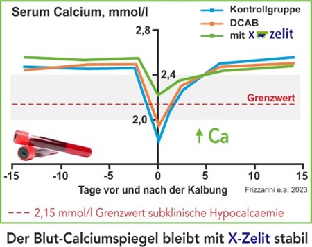 X-zelit milchfieber dcab kühe