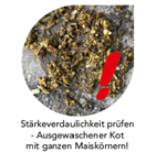 Bildbeschreibung StarFoss