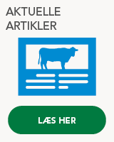 Aktuelle artikler