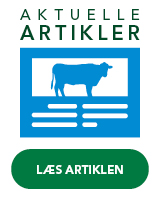 Aktuelle artikler