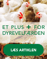 Et plus for dyrevelfæren