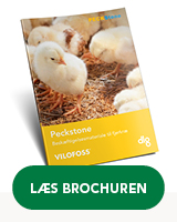 Peckstone brochure