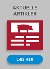 Aktuelle artikler gris