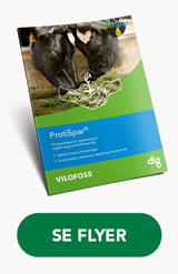 ProtiSpar flyer