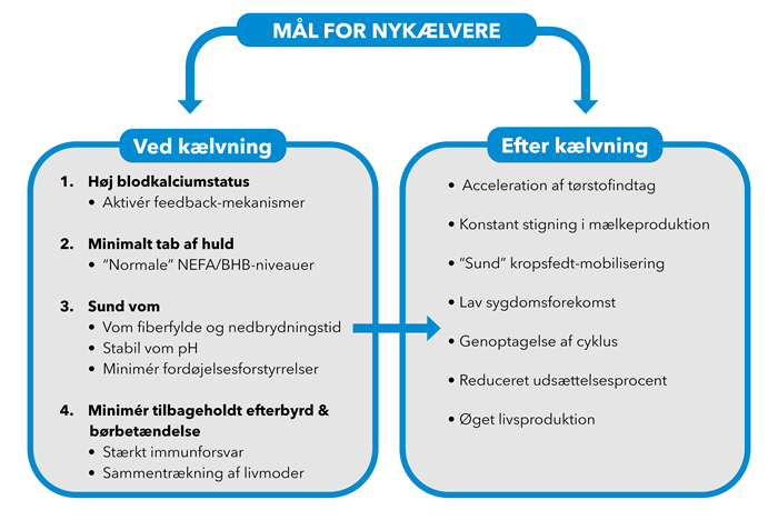 Mål for nykælvere