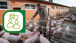 Appui technique et audit d'élevage