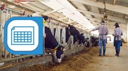 Formulation sur mesure