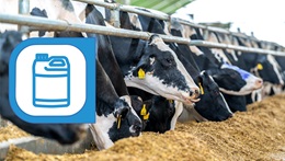 Aliments et spécialités diététiques