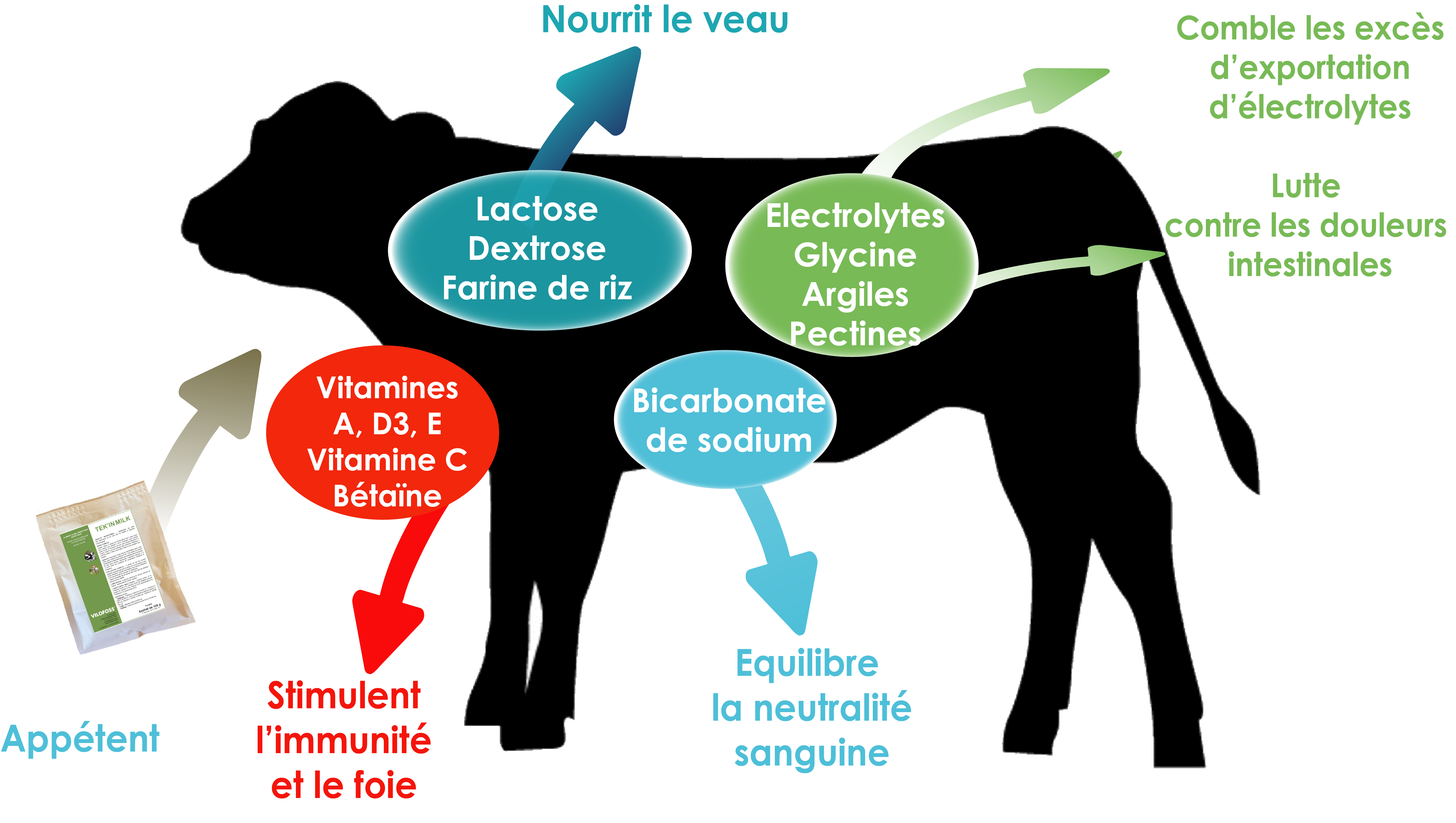 Mode d'action du réhydratant pour veaux Tekinmilk