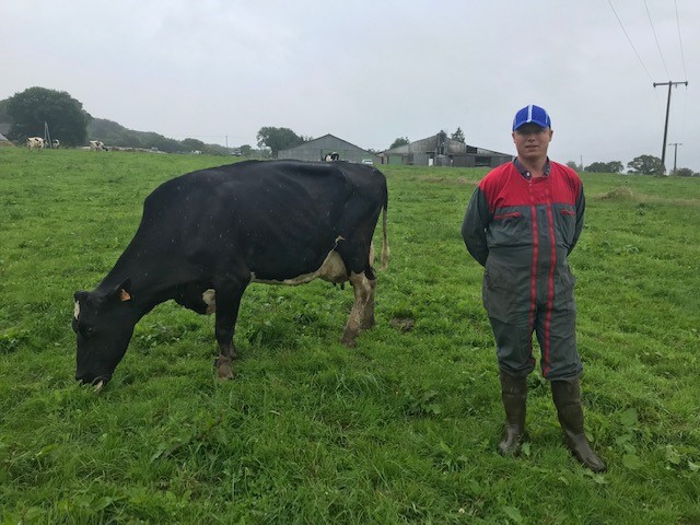 Erwann Guivarch avec une de ses vaches laitières à Spezet dans le finistère en bretagne